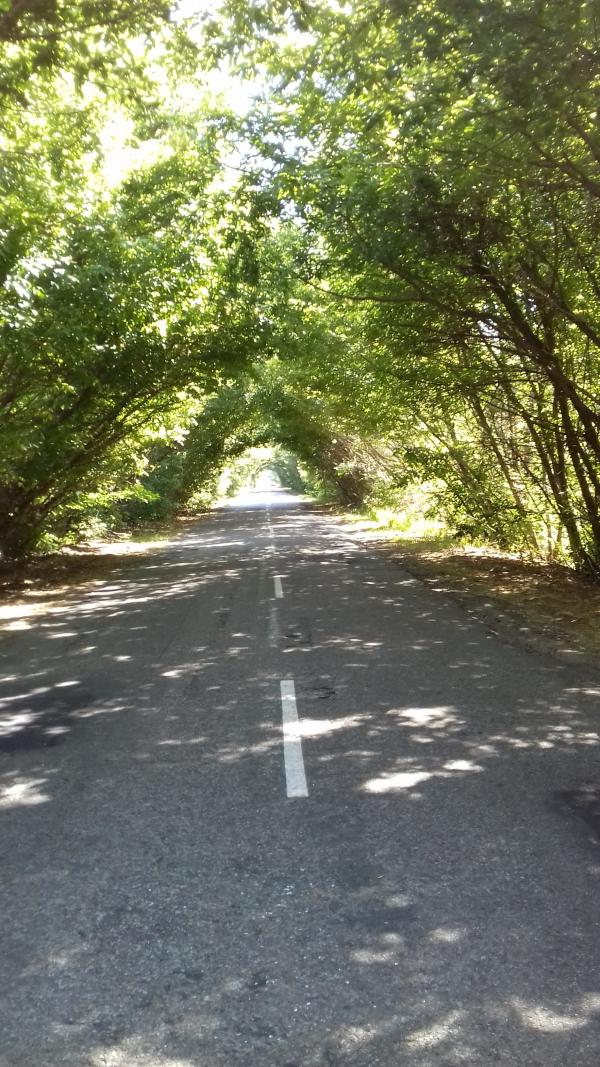 Славний Переяслав у світлинах - Переяслав-Хмельницький