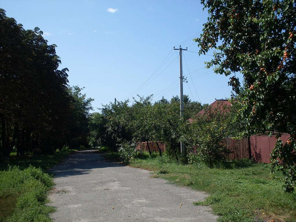 альбом - Ревбинці