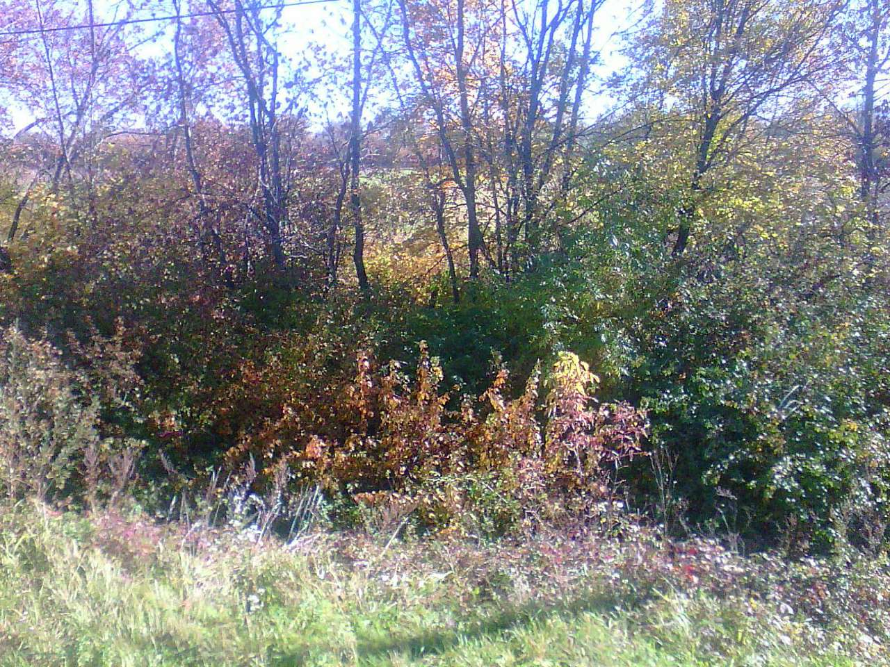 краєвид - Нижня Стинава