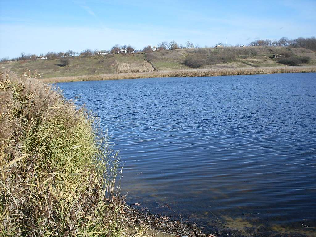 альбом - Ревбинці