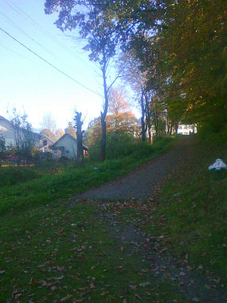 краєвид - Стрілків