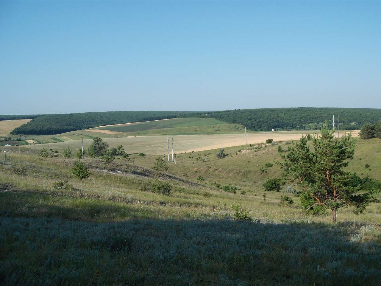 Окрестности - Сидорове