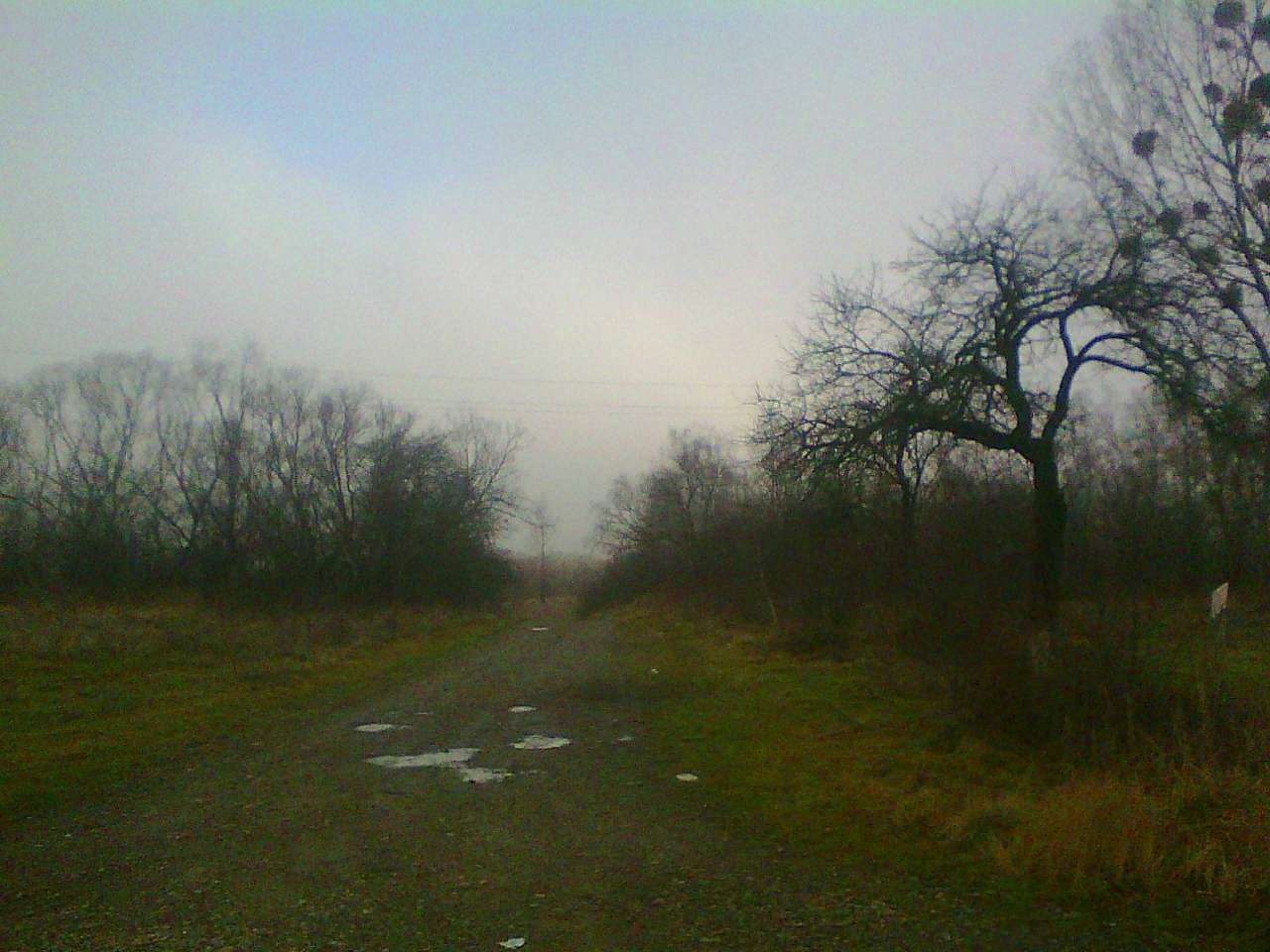 Краєвид - Піщани