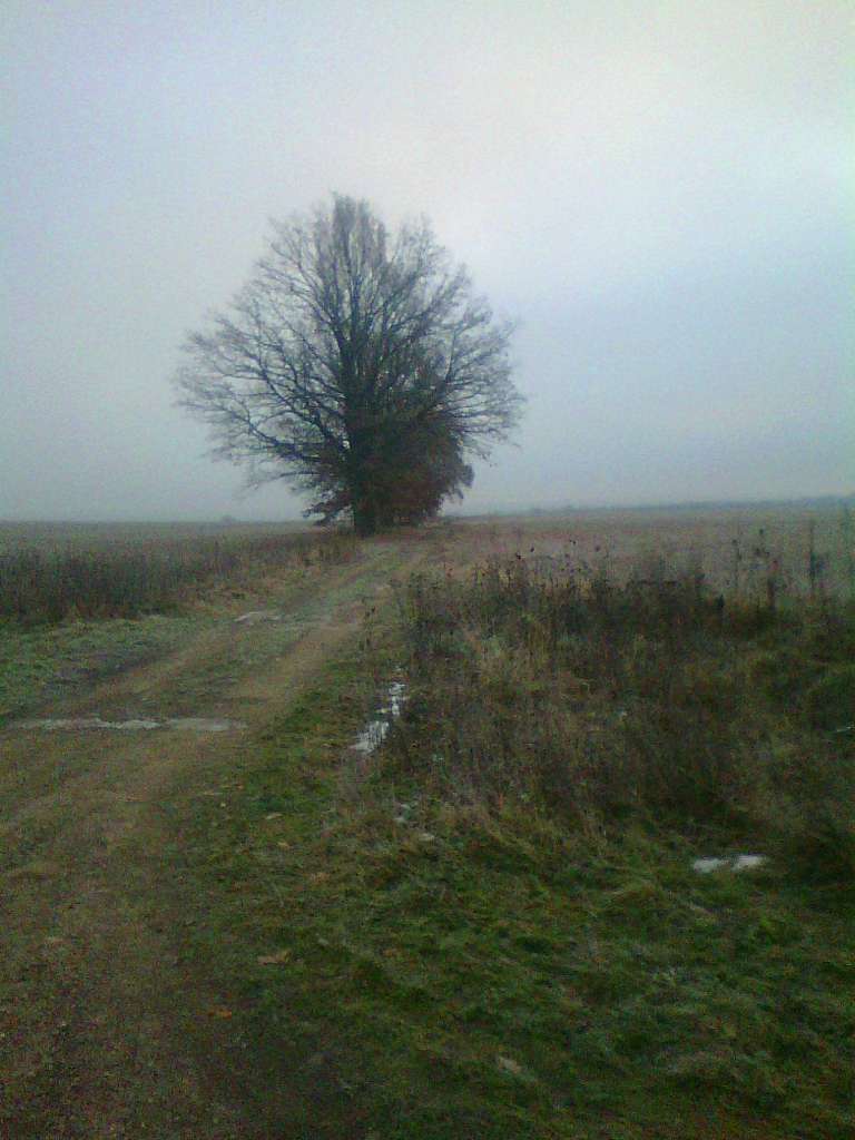 Краєвид - Підгірці