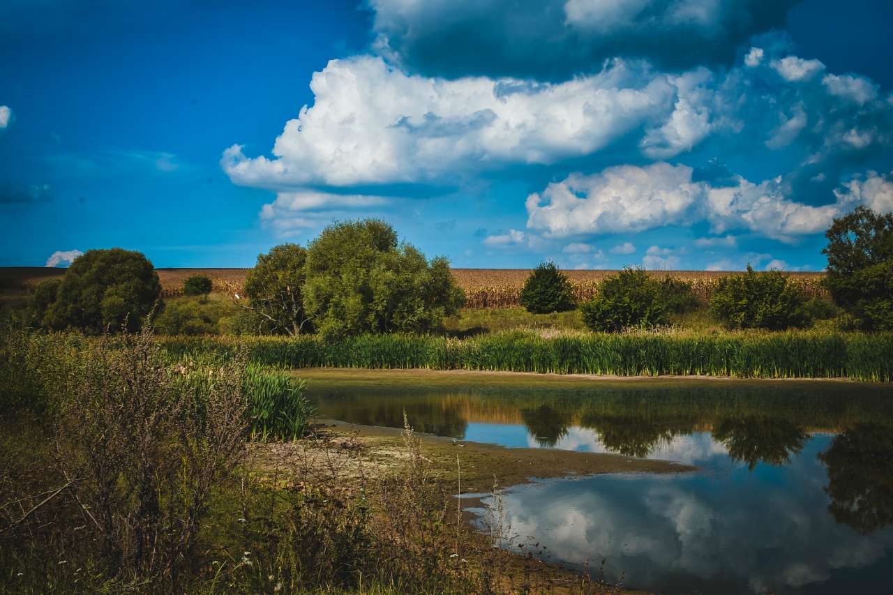 Канава з усіх сторін - Канава