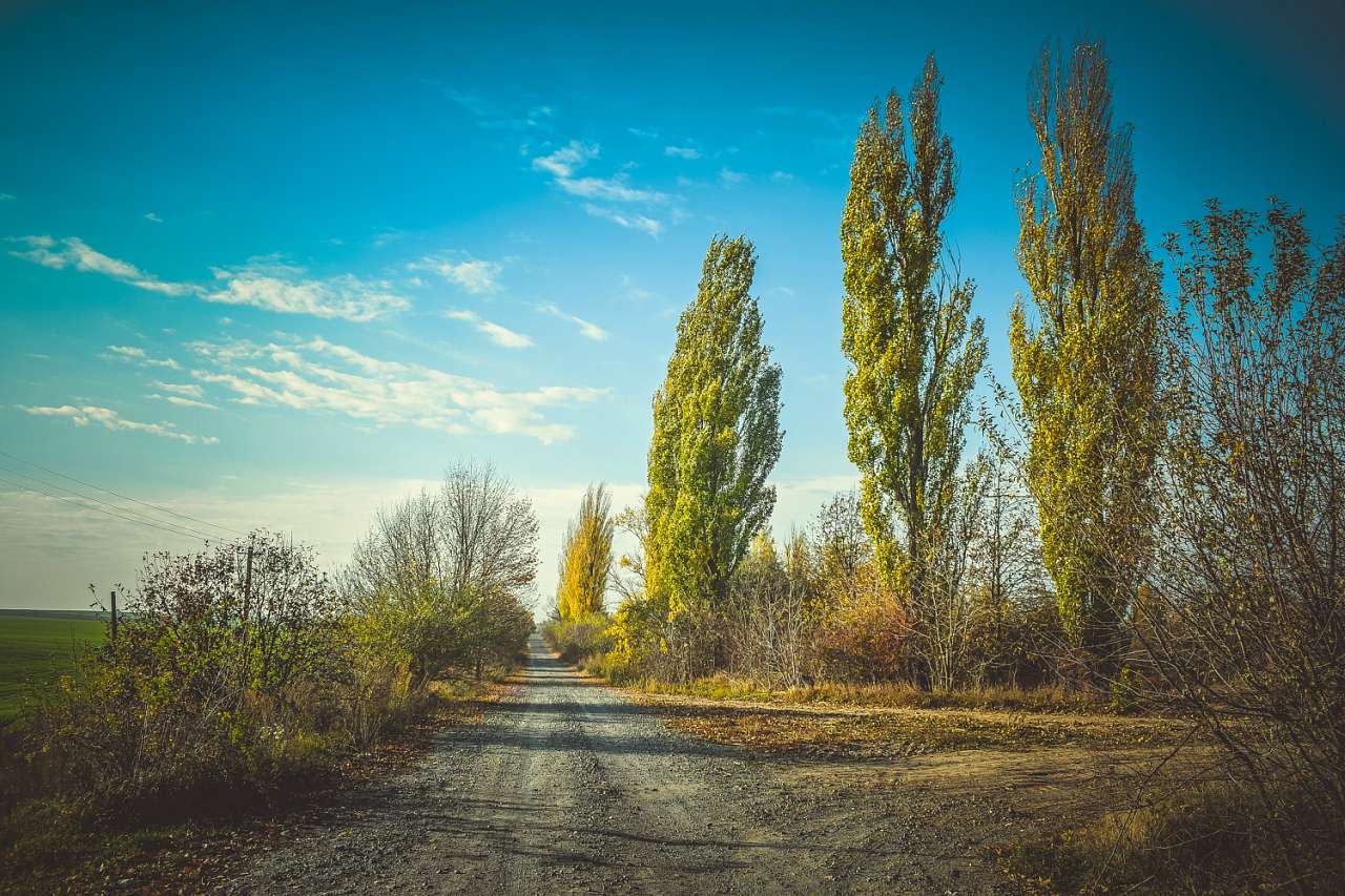 Соколинці та околиці - Sokolyntsi