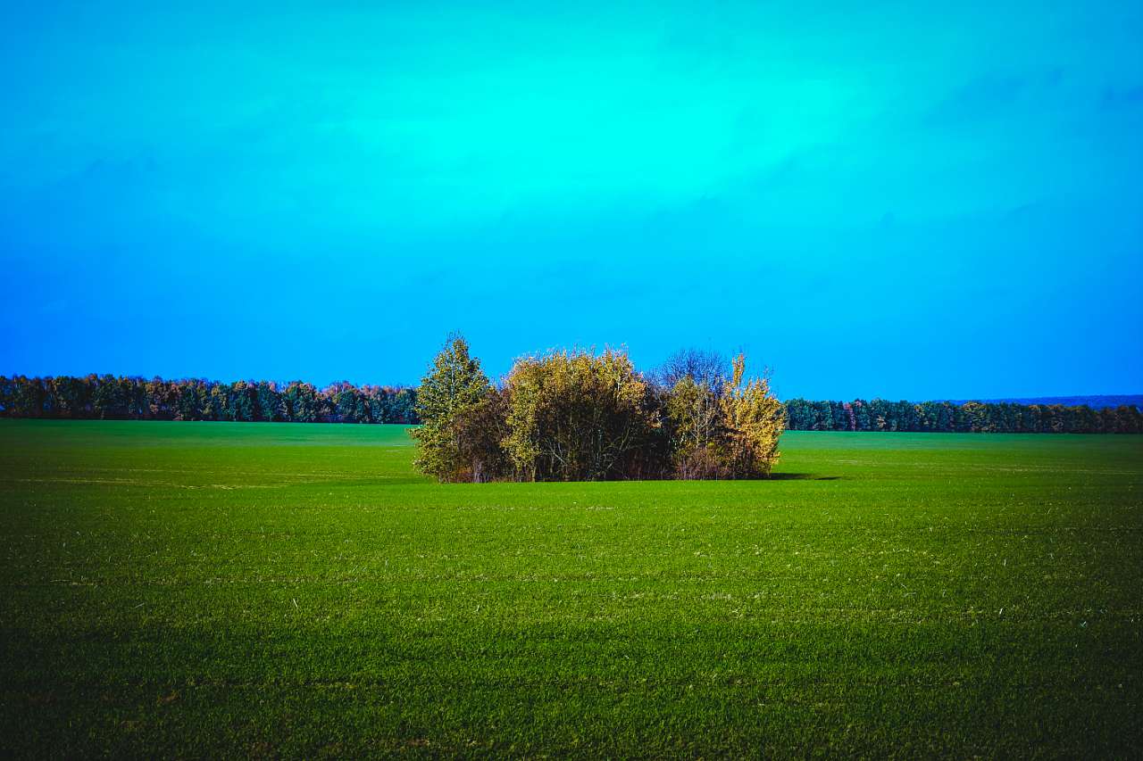 Соколинці та околиці - Sokolyntsi