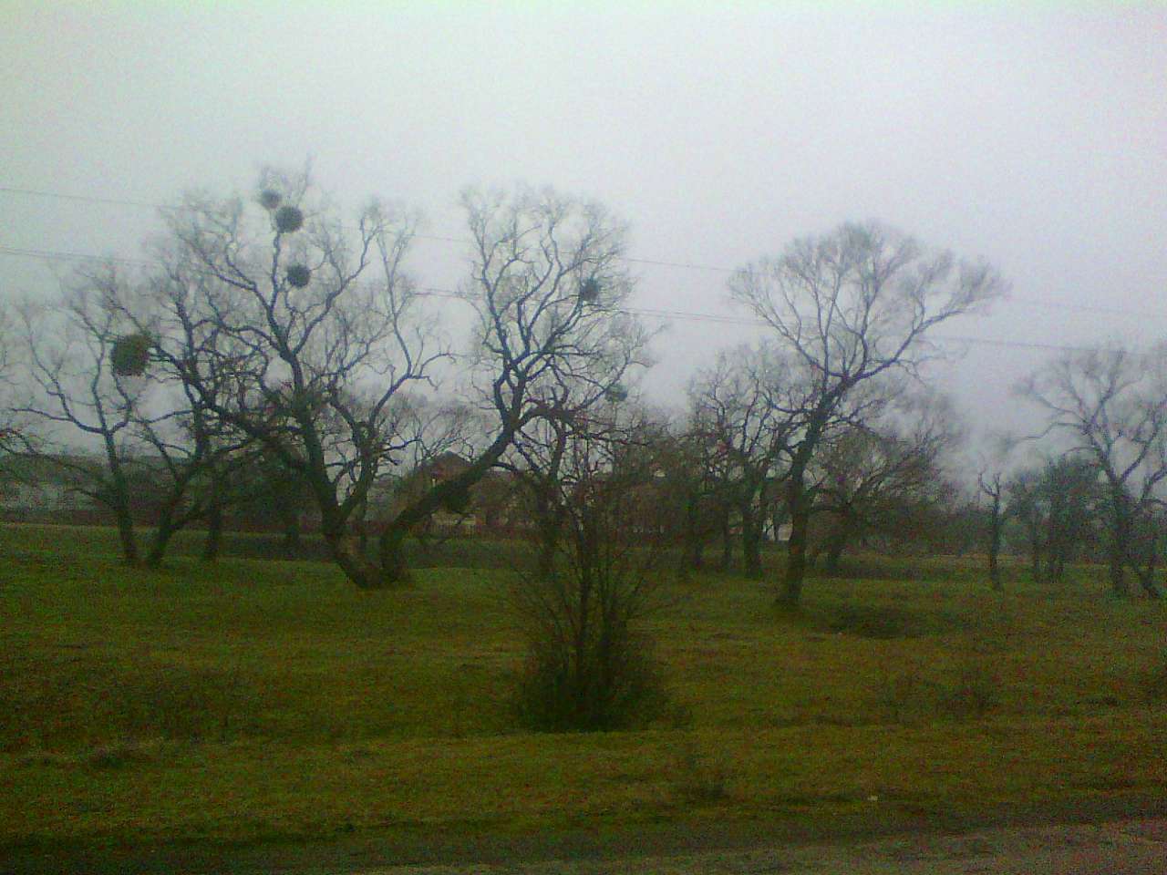 краєвид - Ходовичі