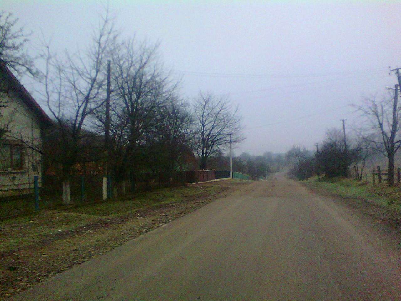 Краєвид - Комаров