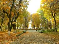 Моя Качанівка