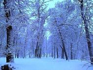 Моя Качанівка