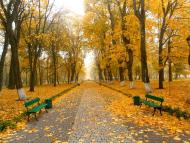 Моя Качанівка