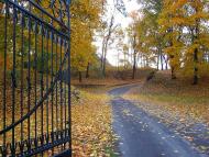 Моя Качанівка