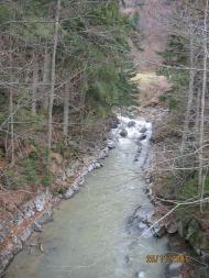 Карпати  Бряза - 2007