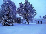 Моя Качанівка