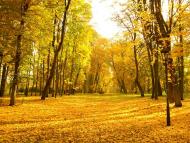 Моя Качанівка