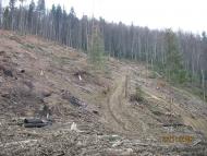 Карпати  Бряза - 2007