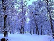 Моя Качанівка