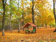 Моя Качанівка