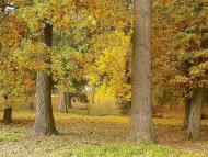 Моя Качанівка