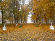 Моя Качанівка