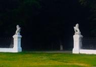 Моя Качанівка