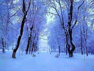 Моя Качанівка