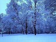 Моя Качанівка