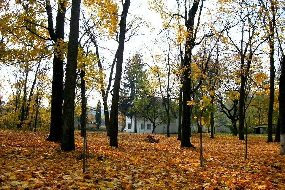 Моя Качанівка - Качанівка