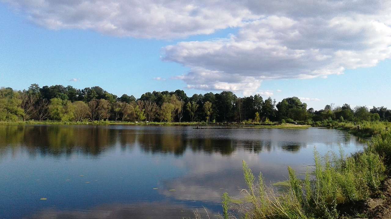 Krol - Кролевец