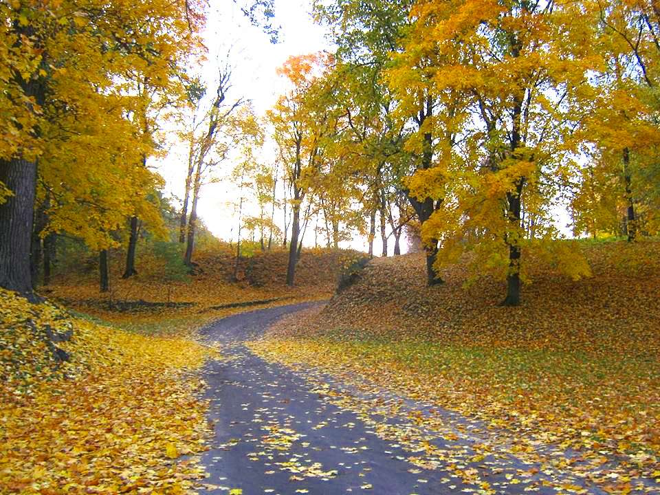 Моя Качанівка - Качанівка