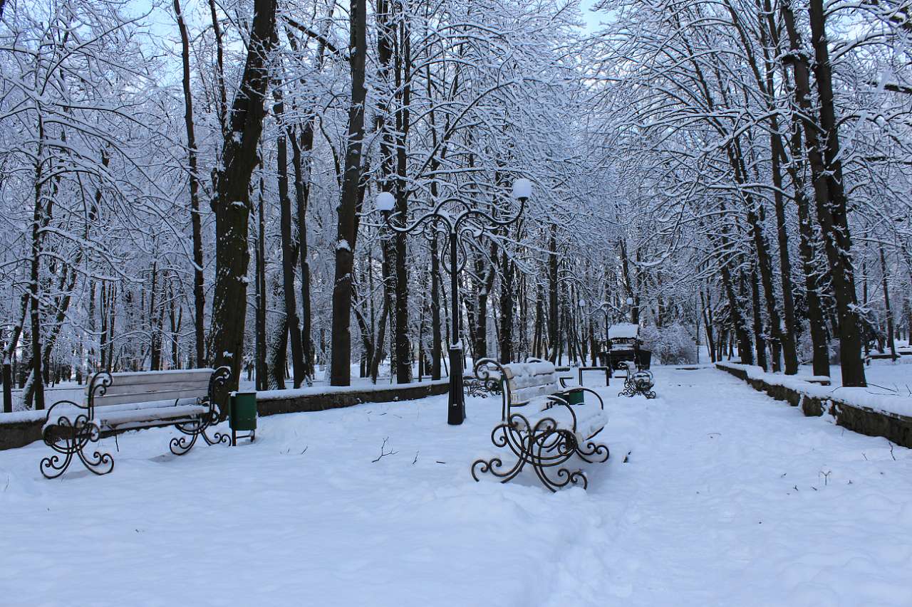 ГОЩА. ПАРК. ЛЮТНЕВИЙ СНІГ. 2018 - Гоща