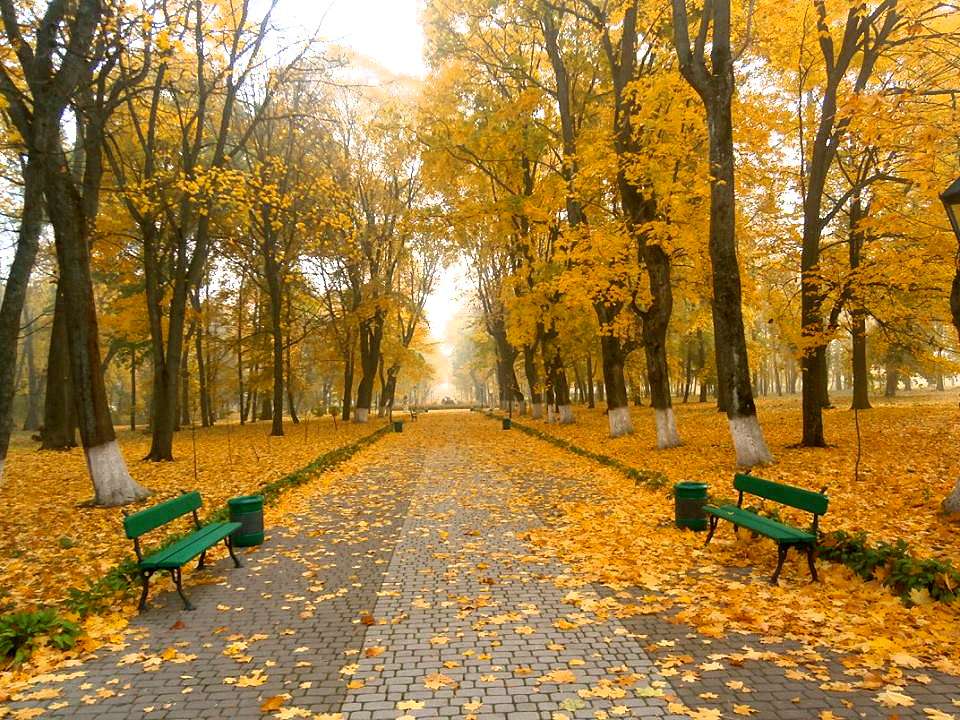 Моя Качанівка - Качанівка