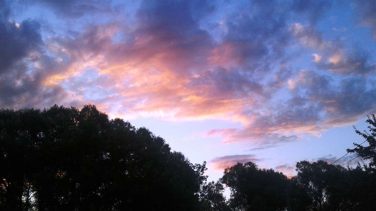 Krol - Кролевець