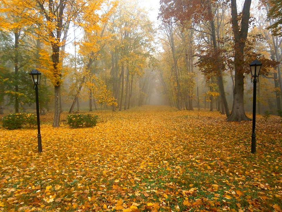 Моя Качанівка - Качанівка