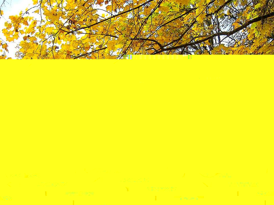 Моя Качанівка - Качанівка