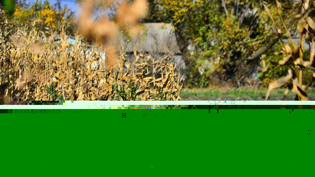 Барви осені - Иваница