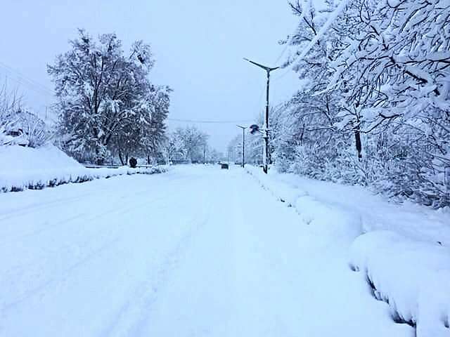 ладан - Ладан