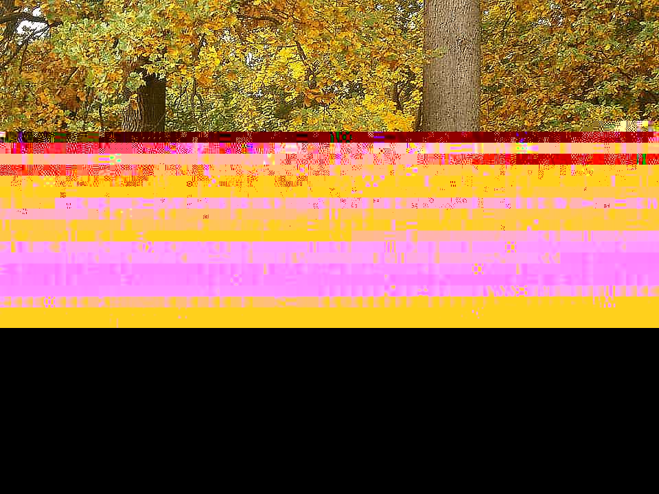 Моя Качанівка - Качанівка