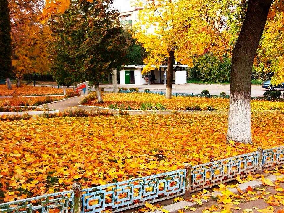 ладан - Ладан