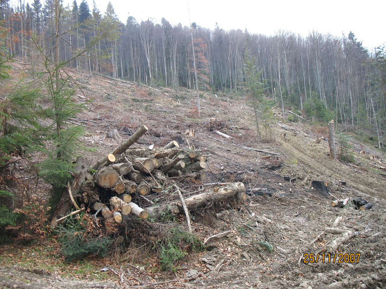 Карпати  Бряза - 2007 - Козаківка