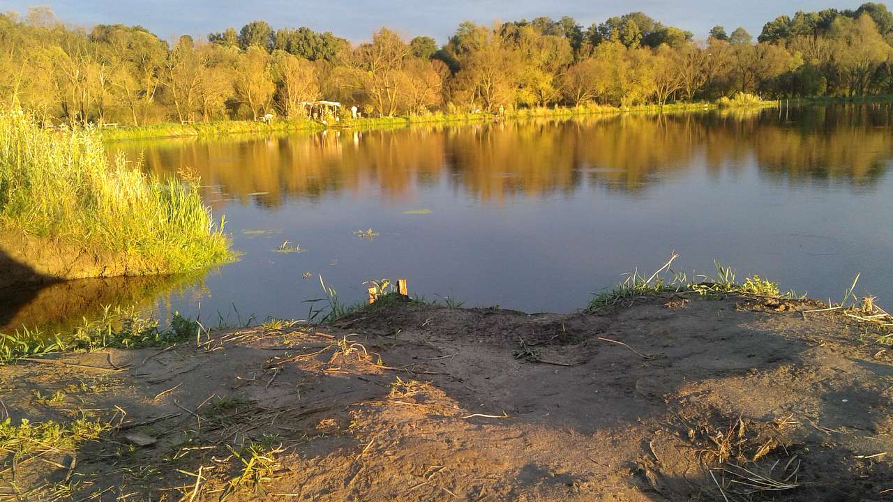 Krol - Кролевець