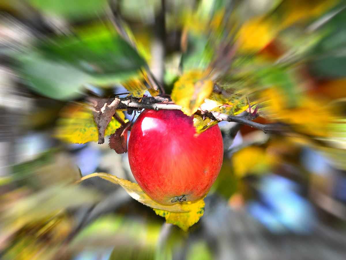 Барви осені - Іваниця