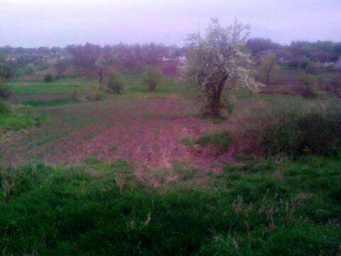 ТЕРЕШКИ - Терешки