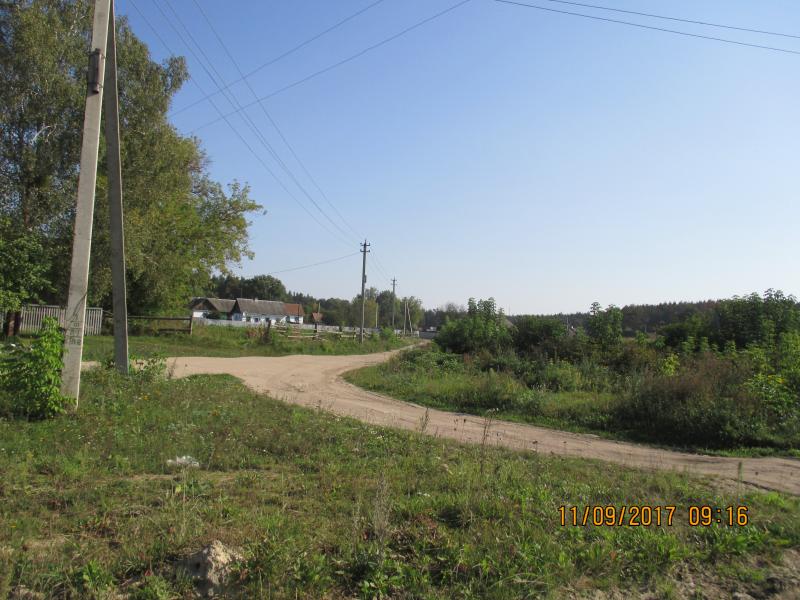 Село влітку - Комини