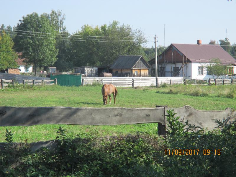 Село влітку - Комини