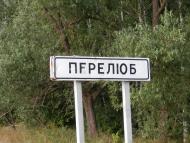 с.Перелюб