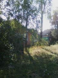 Життя  села