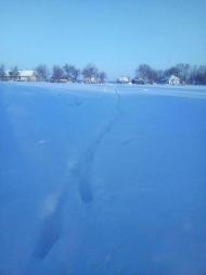 ЖИТТЯ  СЕЛА