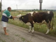 Рубанка - Останні фото